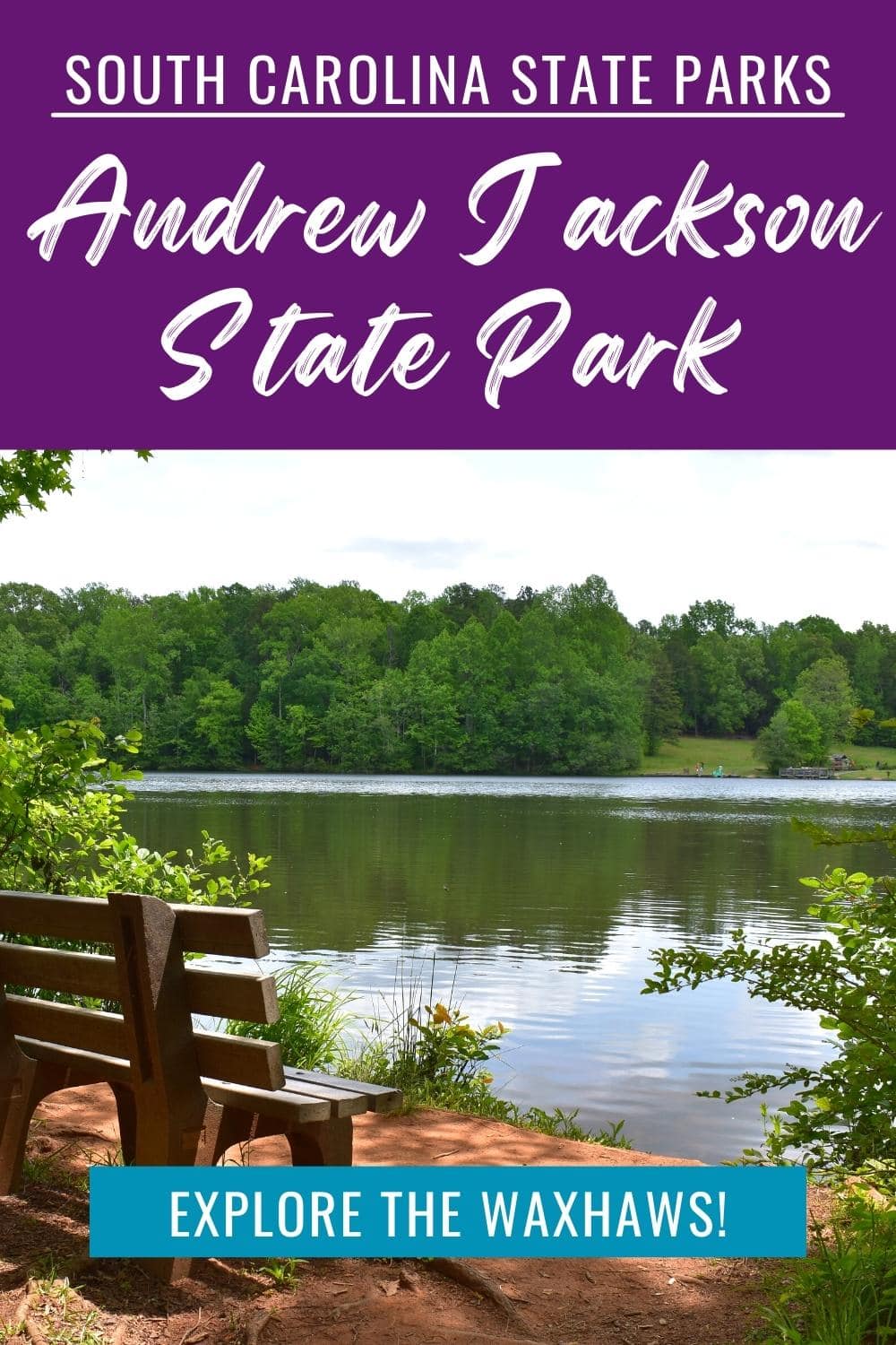 Complete First-Timer\'s Guide to Andrew Jackson State Park