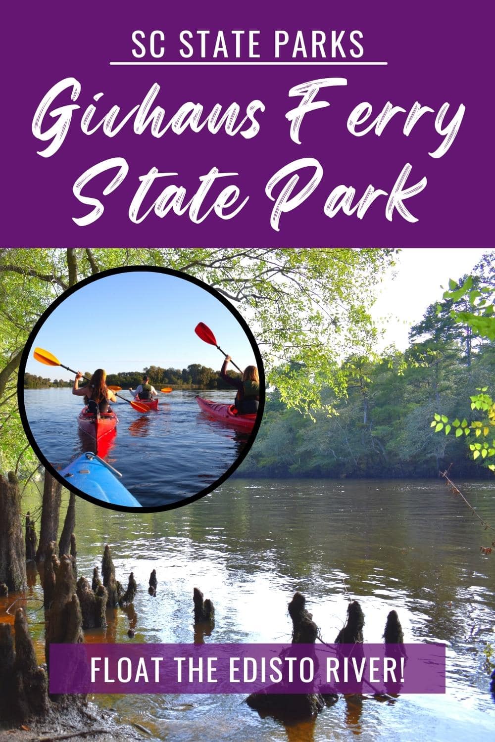Guide to Visiting Givhans Ferry State Park: What to Do & See
