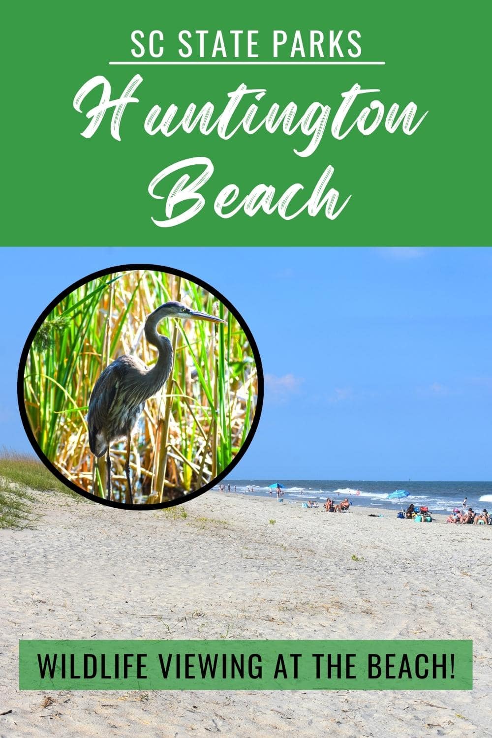 8 Things to Do at Huntington Beach State Park on South Carolina\'s Grand Strand