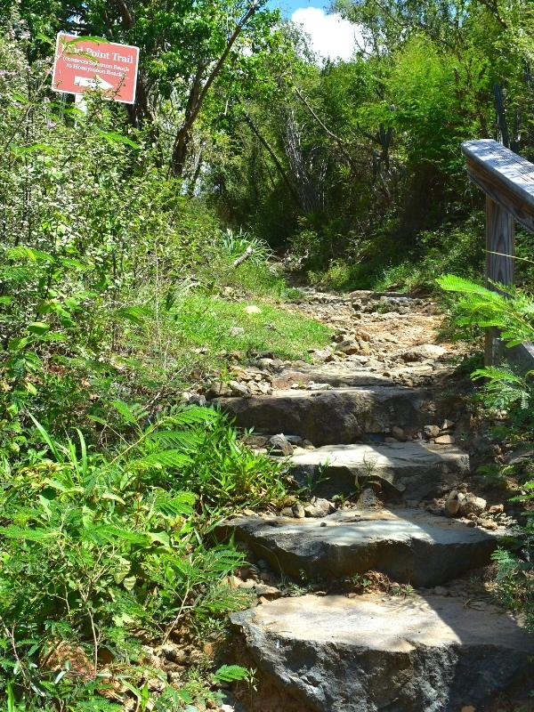 Stone steps lead up the green hill with a brown directional sign indicating you're on the Lind Point Trail on St John, USVI