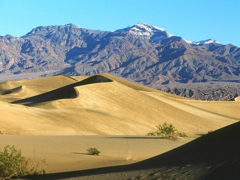 The yellow Mesquite Flat Sand Dunes are large in reality but dwarfed by the mountains in the background, at Death Valley
