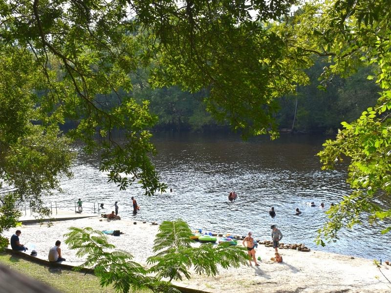 People enjoy swimming in the Edisto River at lay on its banks at Givhans Ferry State Park