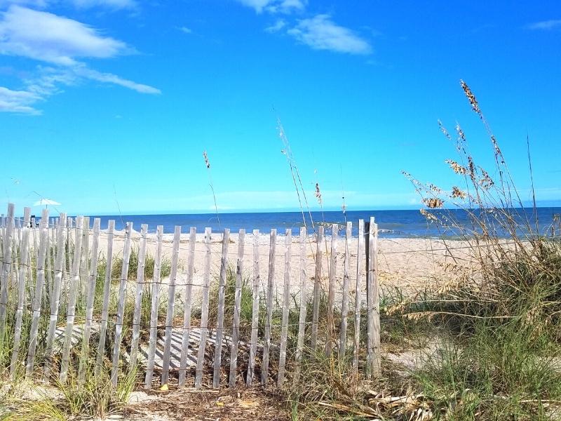 A beach dune fence and reeds keep Edisto Beach stable on a blue day