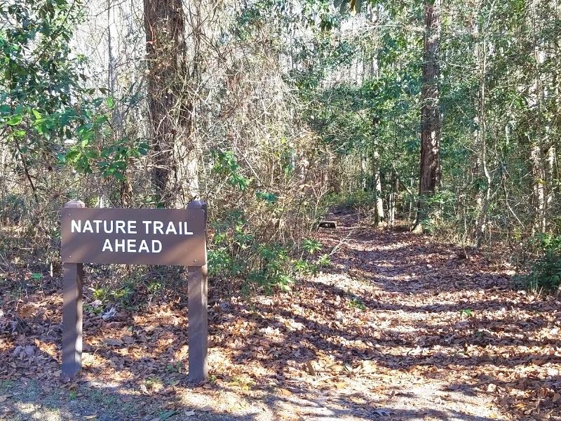 A brown sign states "Nature Trail Ahead" as a leaf-covered path disappears into the woods.