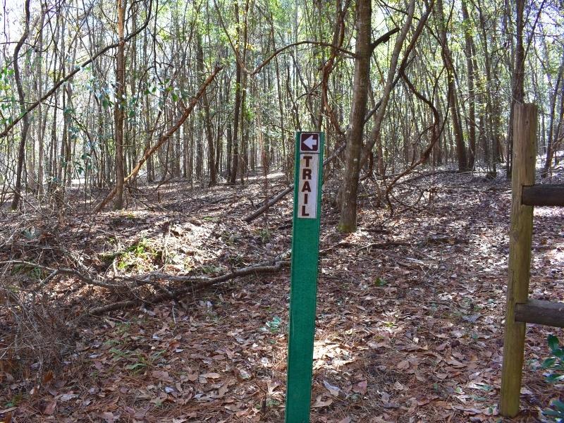 A green trail marker shows the way at Lake Warren State Park