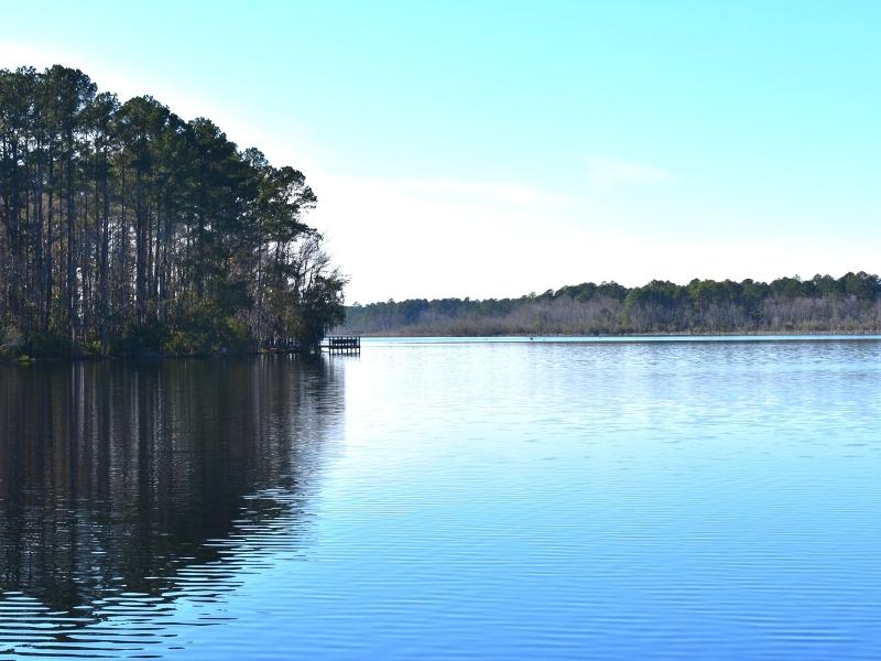 The forested shoreline of Lake Warren State Park reflects in the blue of the lake under a clear blue sky