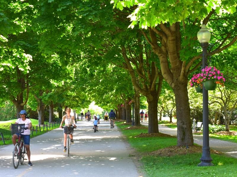 The Mackinac Island bike path lined and shaded by leafy green trees