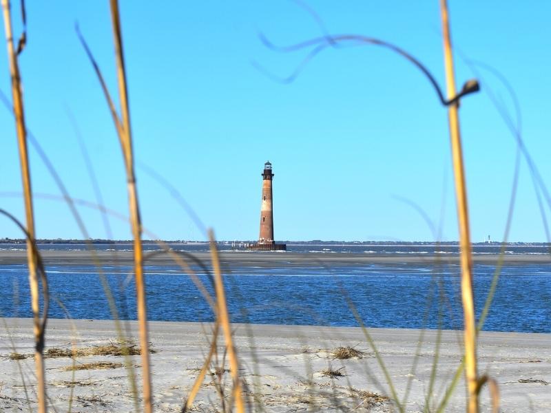 Morris Island Lighthouse rise above the sandbar at low tide under a blue sky, with tan beach dune reeds in the foreground