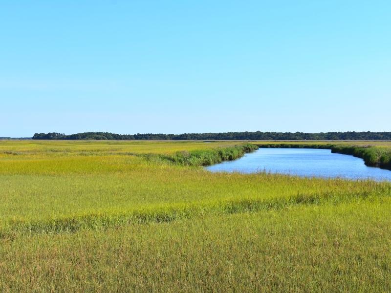 Spring green salt marsh grasses stretch to the horizon under a blue sky with a single waterway