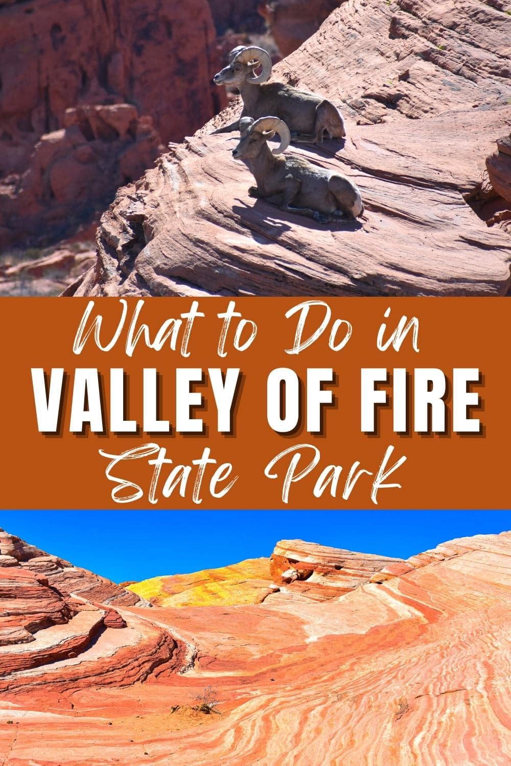 Top 5 Amazing Things to Do in Valley of Fire State Park: An Easy Day Trip from Las Vegas
