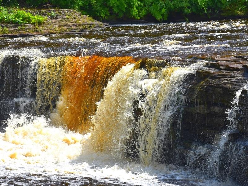 Tan and white frothy water is frozen in time as it falls at one of the Lower Tahquamenon Falls rapids.