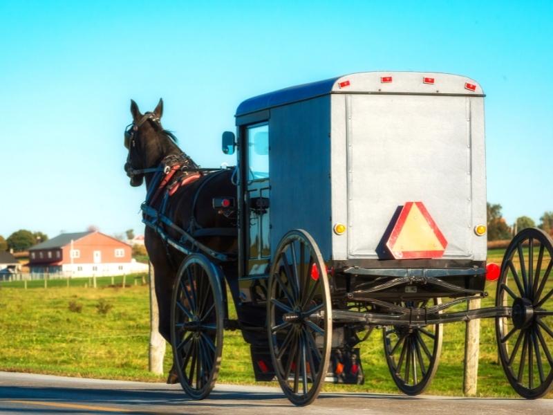 A horse pulls a small Amish buggy down the road past farm fields