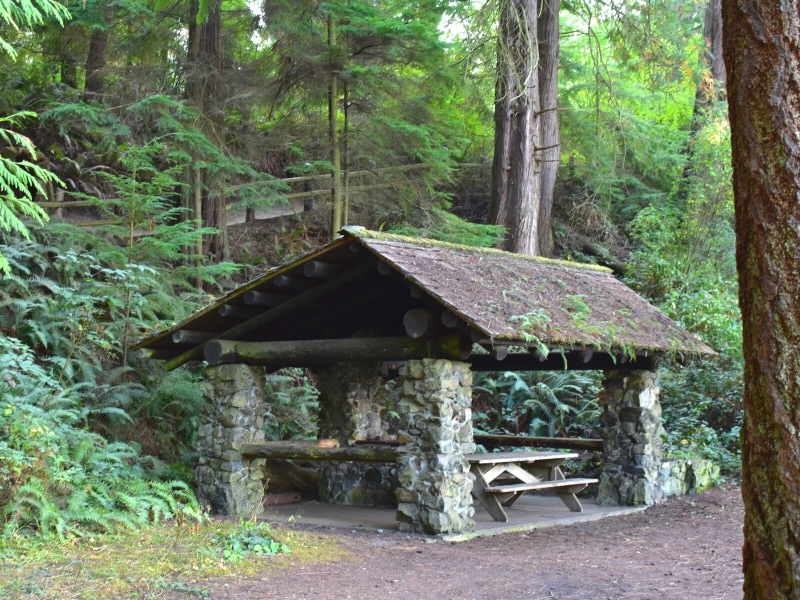 A stone and wooden picnic shelter with moss in a grove of green trees at Deception Pass State Park