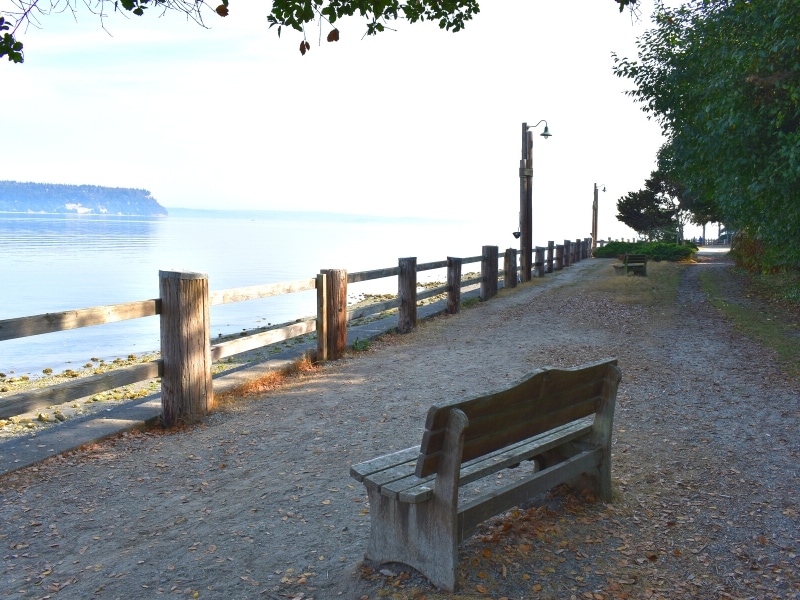 A wooden bench looks beyond the wooden fence to the harbor at Langley on Whidbey Island