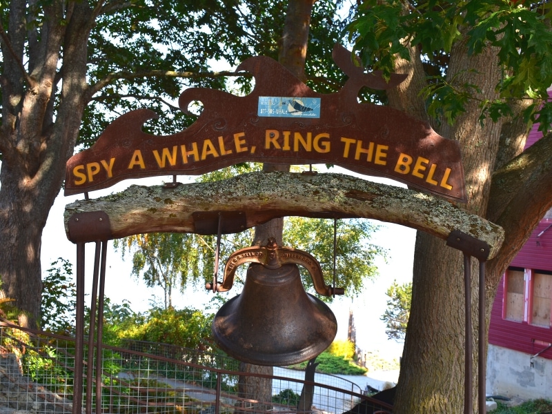 A medal bell stands in a grove by the harbor in Langley, with a sign that says Spy a Whale, Ring the Bell