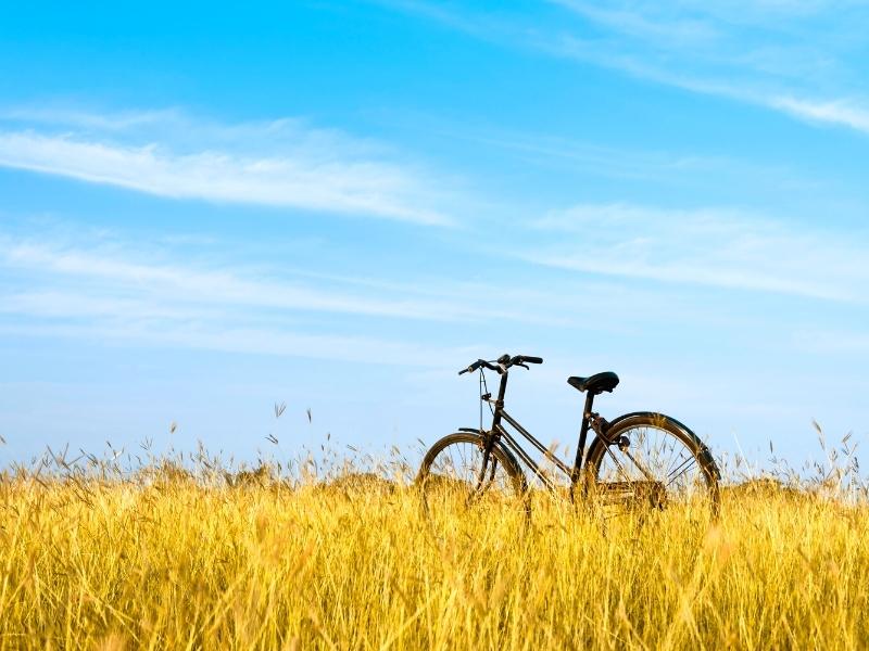 A single bike stands in a yellow field of grass under a blue sky