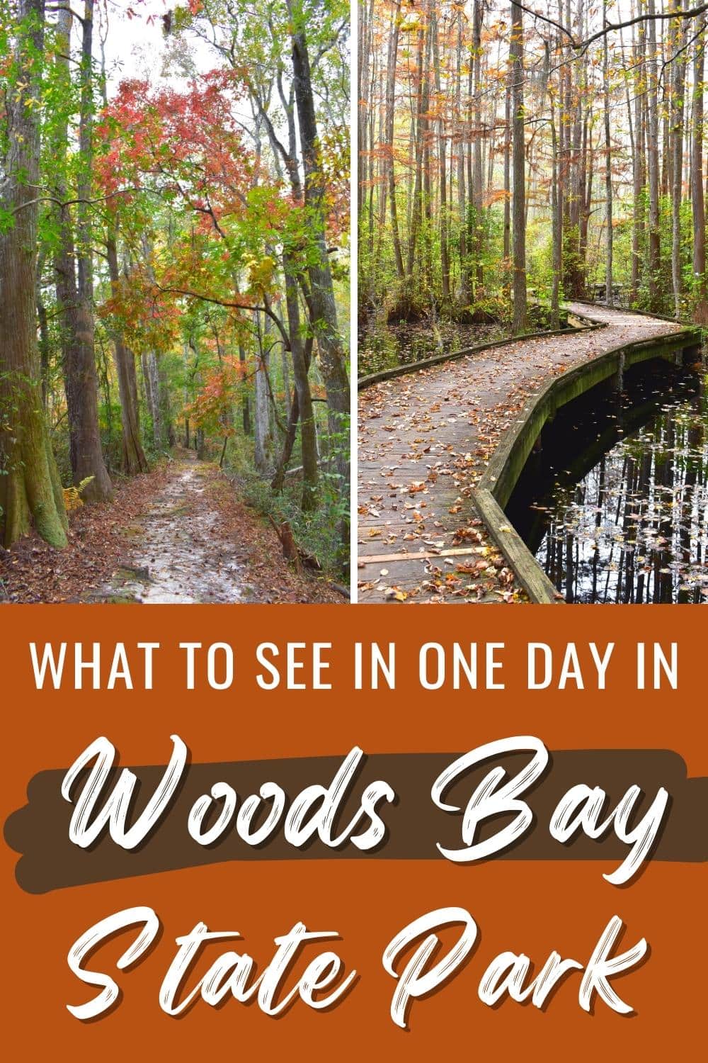 A Peaceful Adventure at Woods Bay State Park