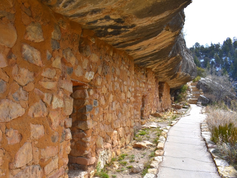 A long row of partially reconstructed cliff dwelling homes protected by a cliff overhang next to a modern path for today's visitors to Walnut Canyon