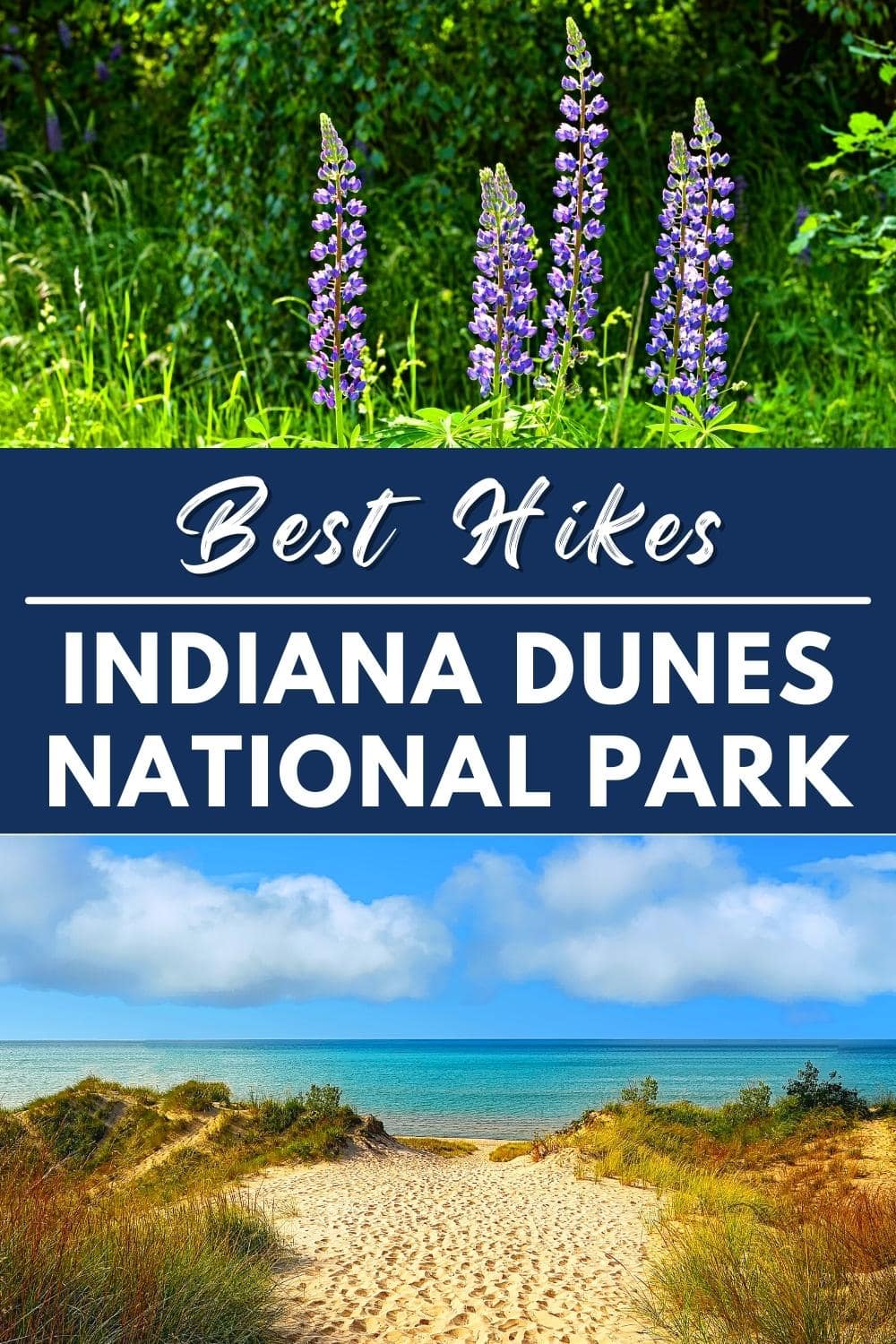 The 8 Best Hikes in Indiana Dunes National Park: Sunset Views + More!