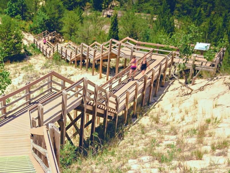 Looking down at the hundreds of stairs that wind up a sand dune and through jack pines, that make up the Dune Succession Trail in Indiana Dunes National Park