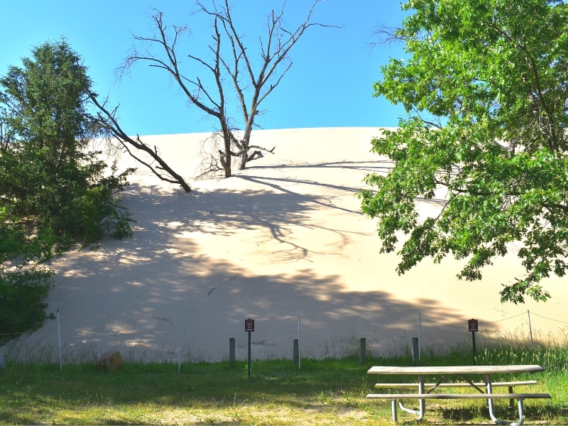 The massive sand dune known as Mt Baldy is slowly covering full size trees and parking lots in Indiana Dunes National Park