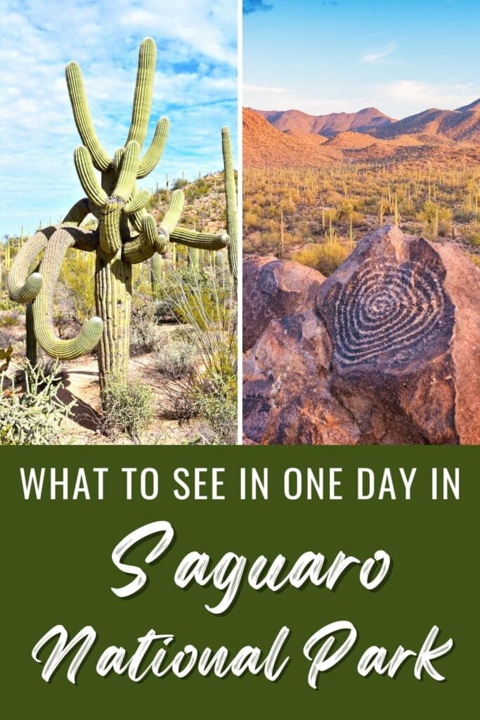 A large saguaro cactus with several curvy arms and a circular swirl petroglyph carved into a rock at Signal Hill, with text What to See in One Day in Saguaro National Park