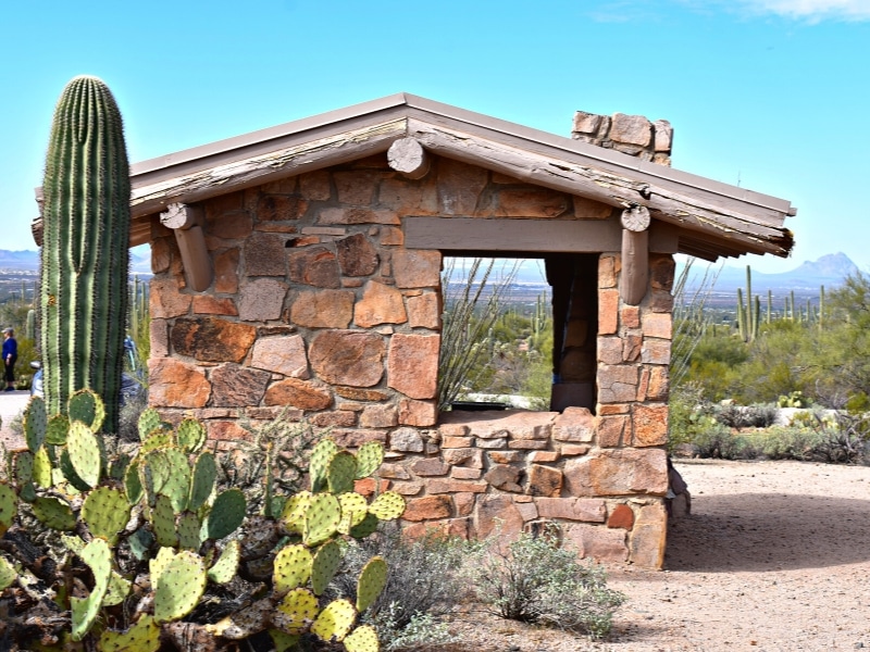 A Saguaro West Signal Hill picnic shelter is surrounded by desert cacti under a blue sky.