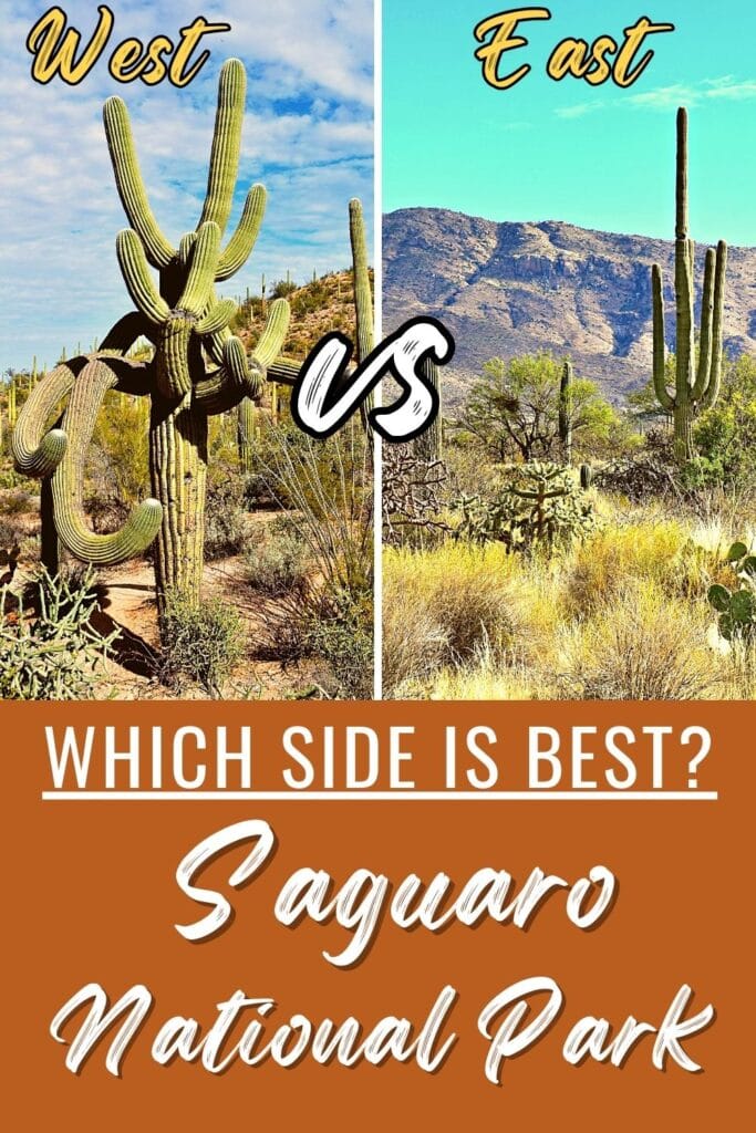 Side by side comparison photos of a saguaro cactus with many arms in Saguaro West vs a landscape view of Saguaro East, with text Which Side is Best? Saguaro National Park