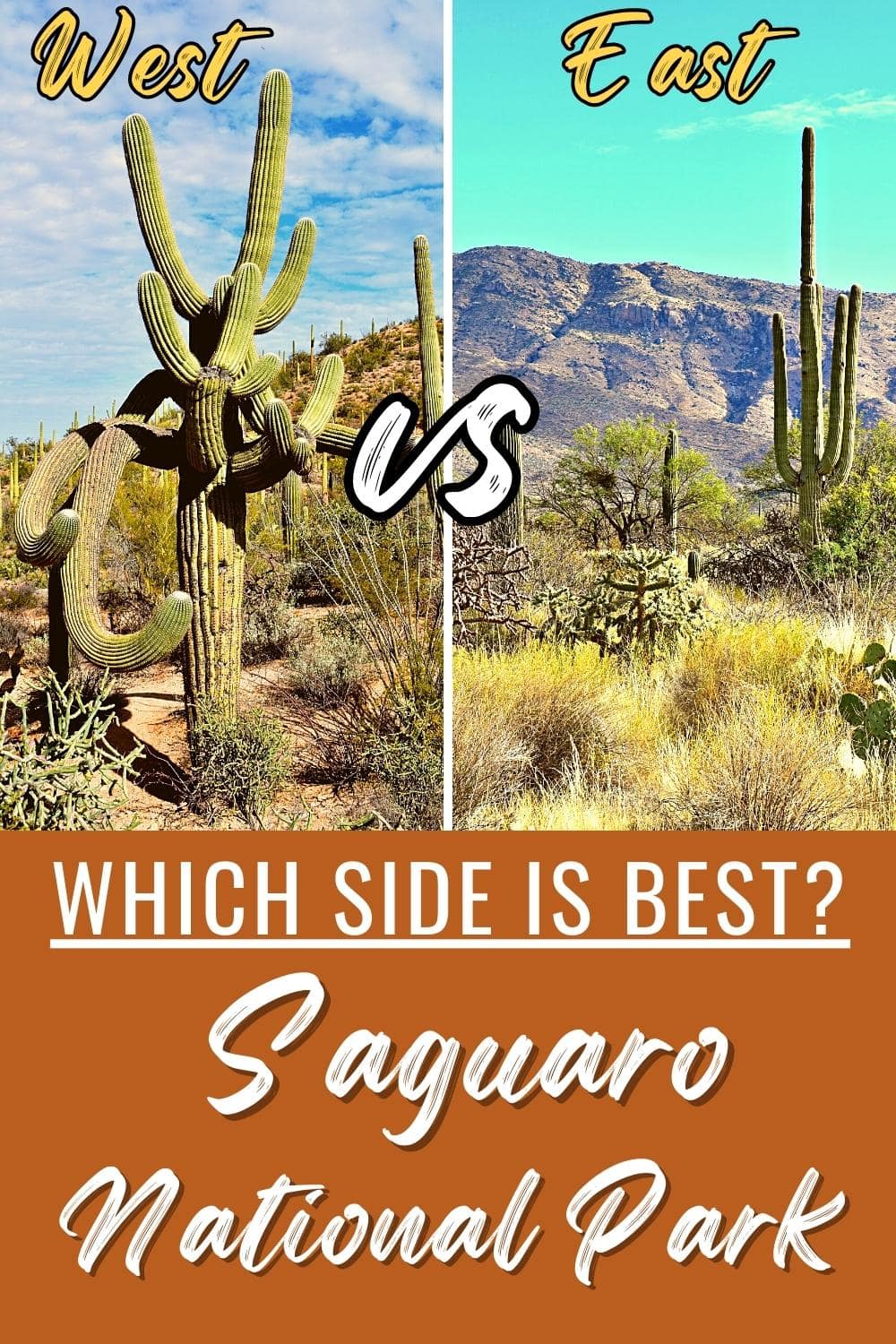 Saguaro National Park East vs West: Which is Better?