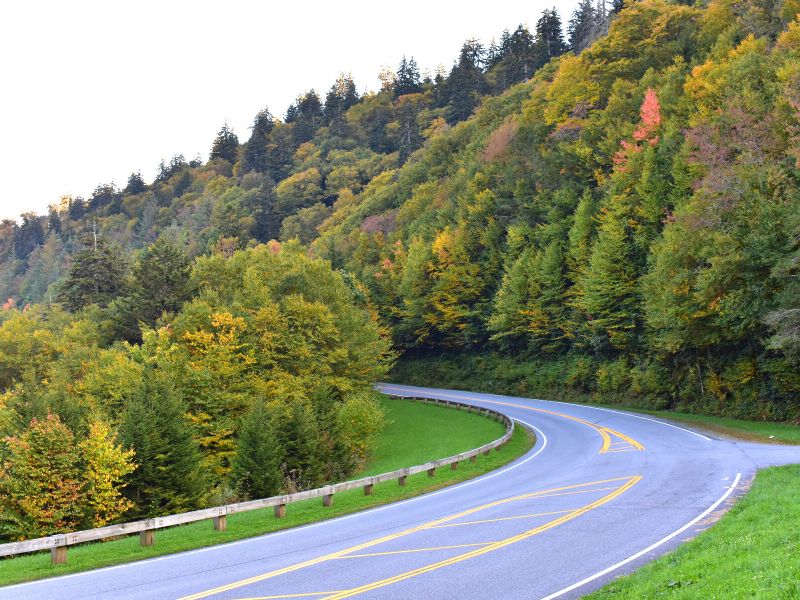 Newfound Gap Road curves through the beautiful forests of Great Smoky Mountains National Park as they turn color for autumn