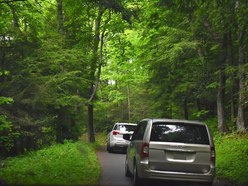 A line of cars form on the Roaring Fork Auto Tour Route in an otherwise completely greened out Great Smoky Mountains National Park