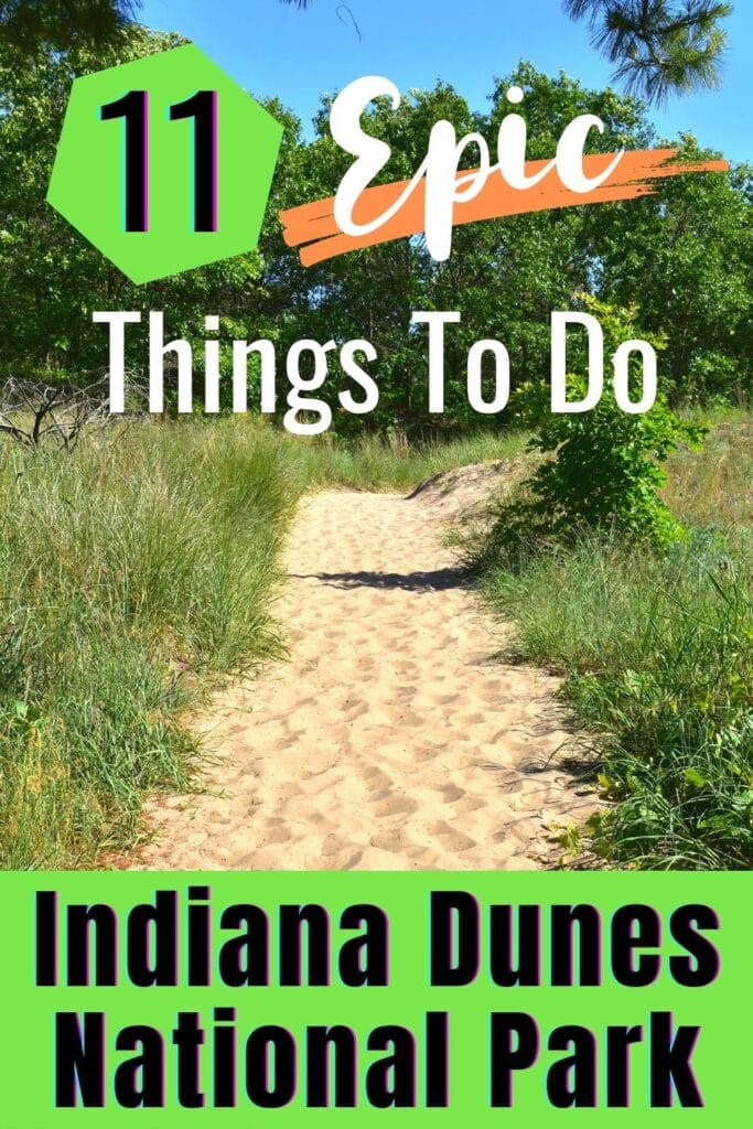 Photo of a sandy trail lined with dune grass and disappearing into a forest, with text overlay 11 Epic Things to Do in Indiana Dunes National Park