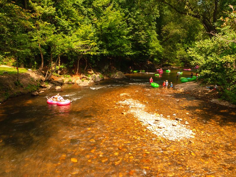 Many green and pink inner tubes flow down a shallow, rocky part of a forested river in Helen, GA