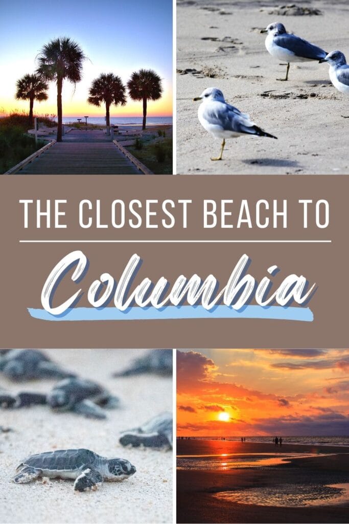 A photo collage of sand piper birds, baby sea turtles, an orange sunset on the beach, and palmetto trees on a boardwalk at the beach, with text The Closest Beach to Columbia