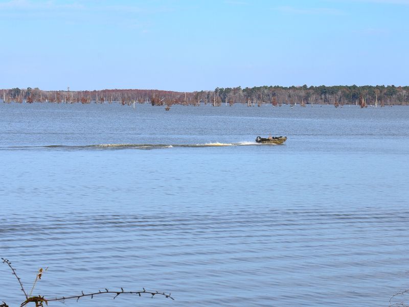 A motorized fishing boat cruises across Lake Marion in Santee State Park, South Carolina