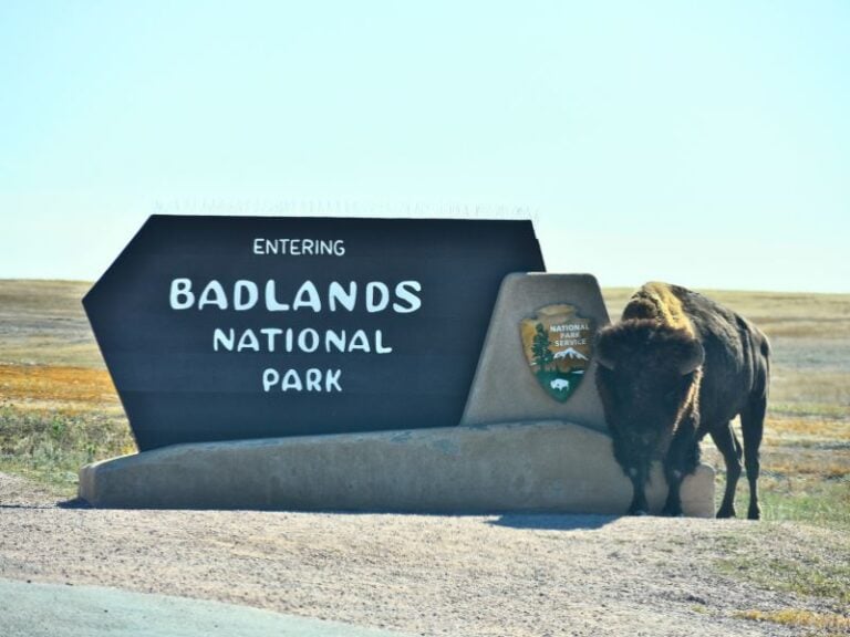 7 Days in Rapid City, SD to Explore the Black Hills