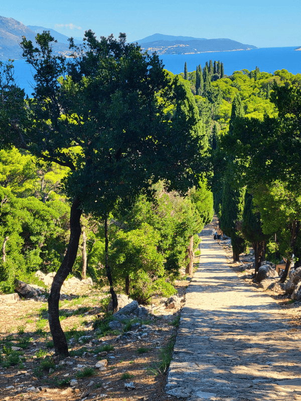 Green trees line a stone Path to Paradise on Lokrum Island with blue water in the distance