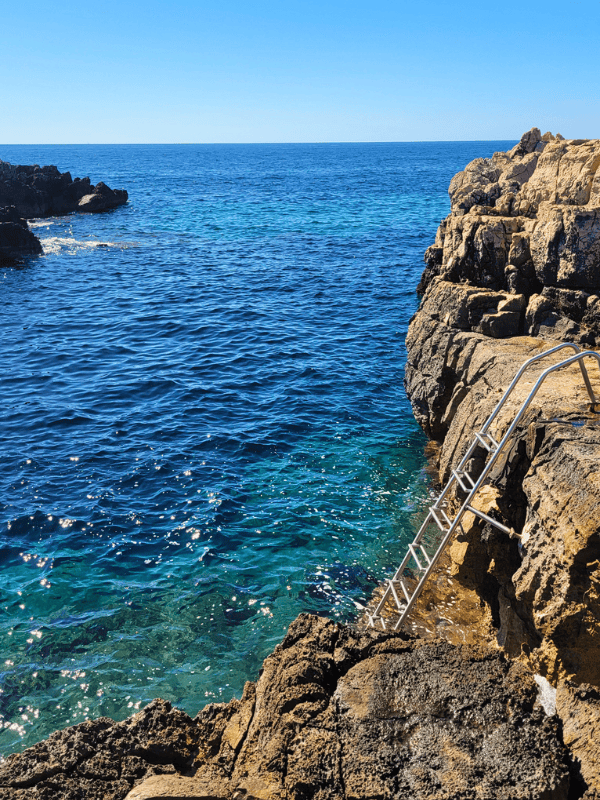 A single metal ladder leads into blue water from the rocky shore on Lokrum Island
