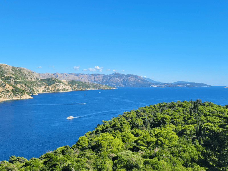 Unobstructed view of the blue water channel separating green Lokrum Island from Croatia's rocky shore